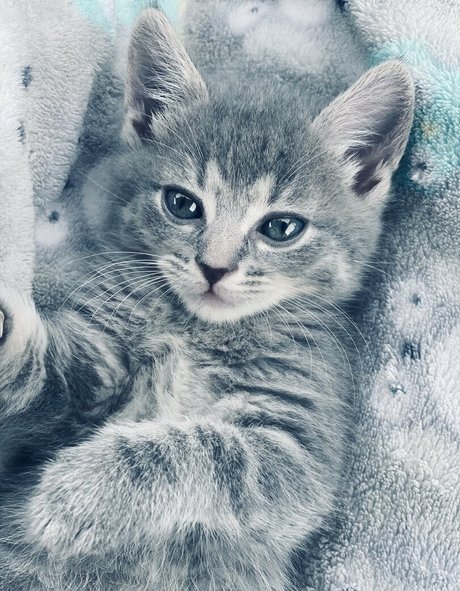 xxxhookedonbrookefree sex star gallery