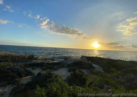 notyourgrandma model free img