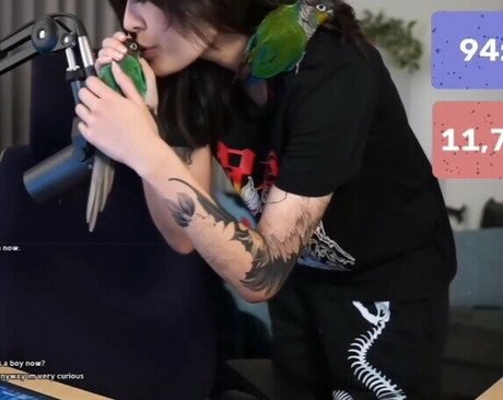 Jaiden Dittfach model porn archive