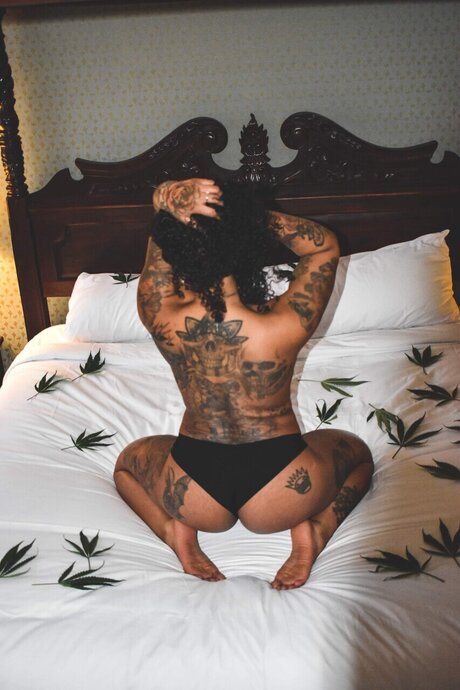 Miss Vixxie pornstar free image