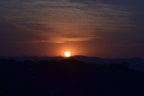 Coach Davis top pornstar pictures