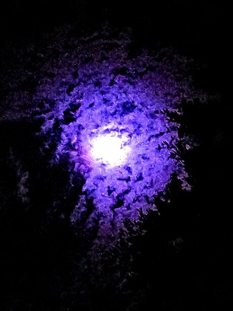 WireFramed pornstar hd photo