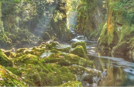 iuna wager porn actress pic