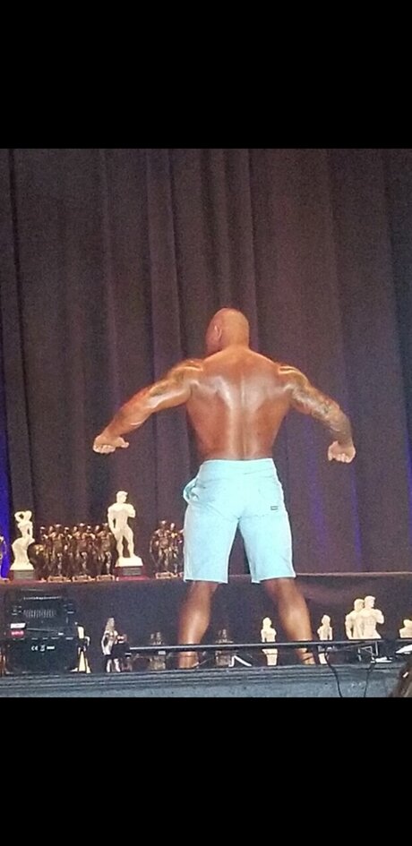 Rocksolid pornographic star photos