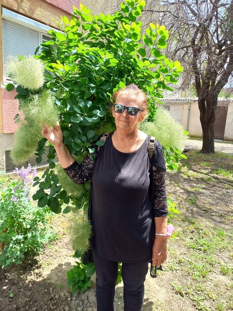 Nada Husti xxx pornstar image