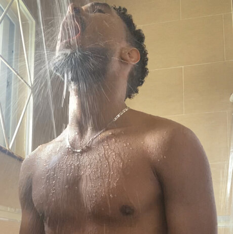 Duke art star archive