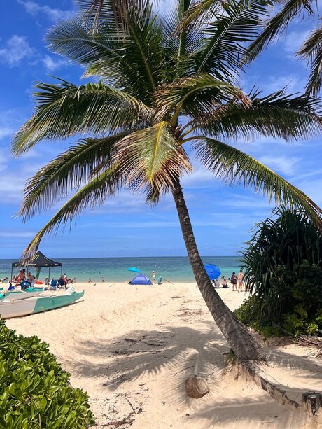 Mr Bear high quality star gallery