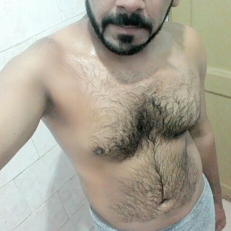 Desy BULL hd actress img