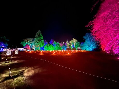 BigBoyLen star perfect pic