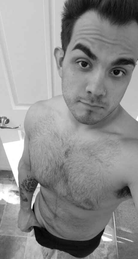 ThePizzaKing best star gallery