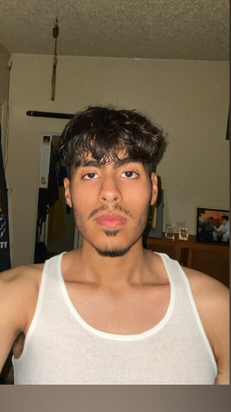 sonochammy free star images