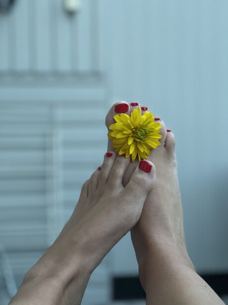 Foot fetish page pornstar best picture