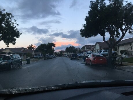 Megan Gardner pornstar free galleries