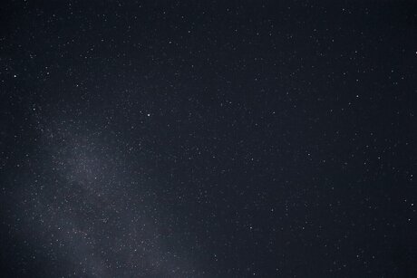 Vanessa Rae art actress galleries