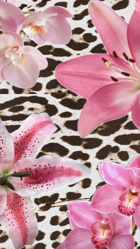 s amp lt3 pornographic star photo