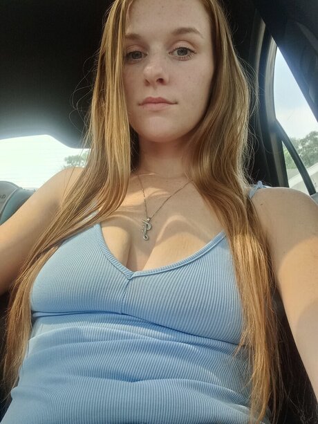 Puurty Kitty_ star archive