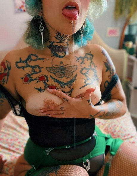 Querosie Querosie nice star galleries