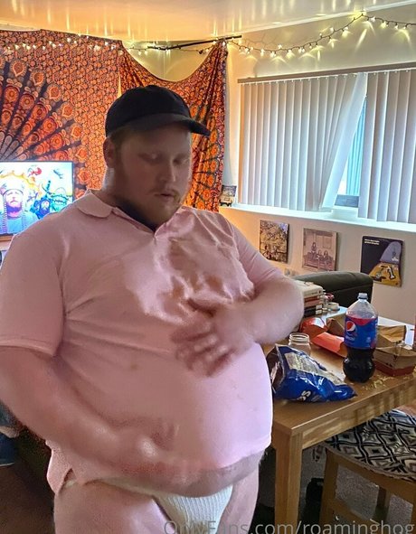 roaminghog pornstar adult archive