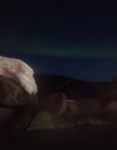 flowerpower87 pornstar art archive