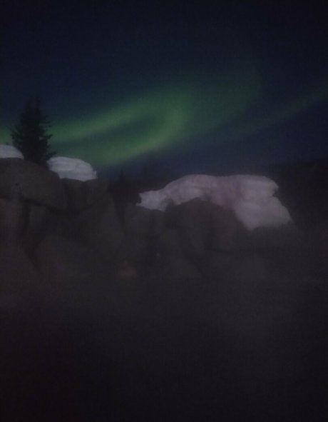 flowerpower87 sex star photo