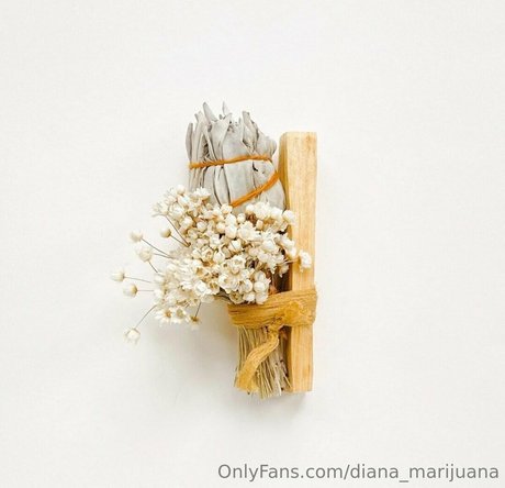 more than palnts pornstar adult archive