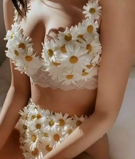 more than palnts star high quality picture