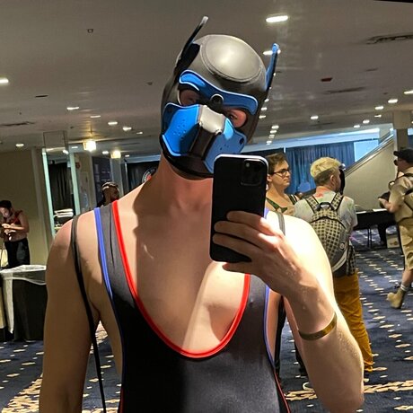 Growing bull model hd photos