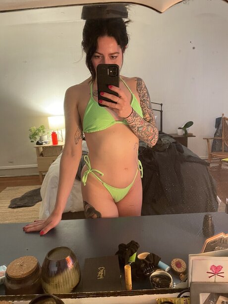 u95005684 star picture