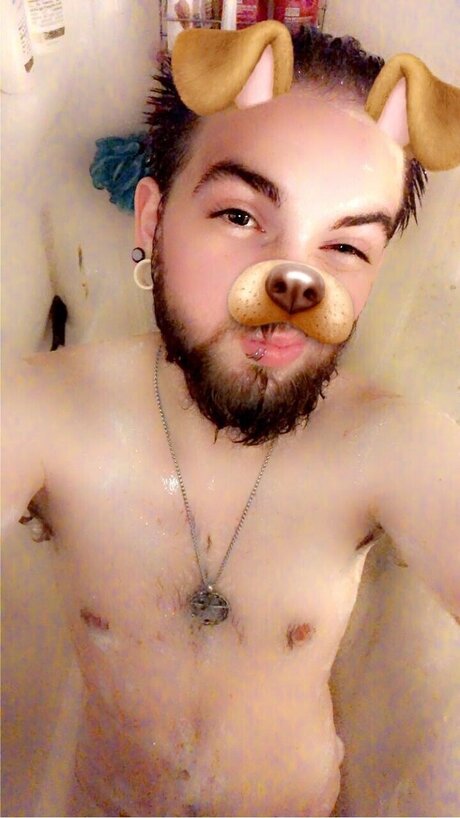 Data star top gallery