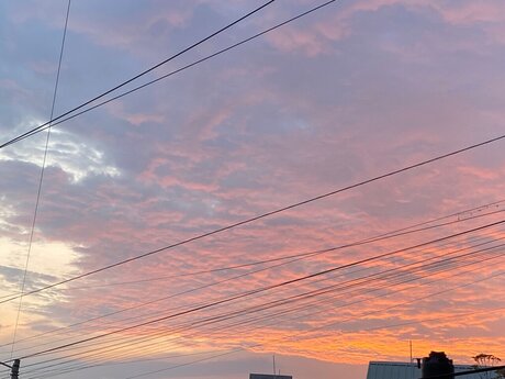 Cutie Foxy erotic pornstar pictures