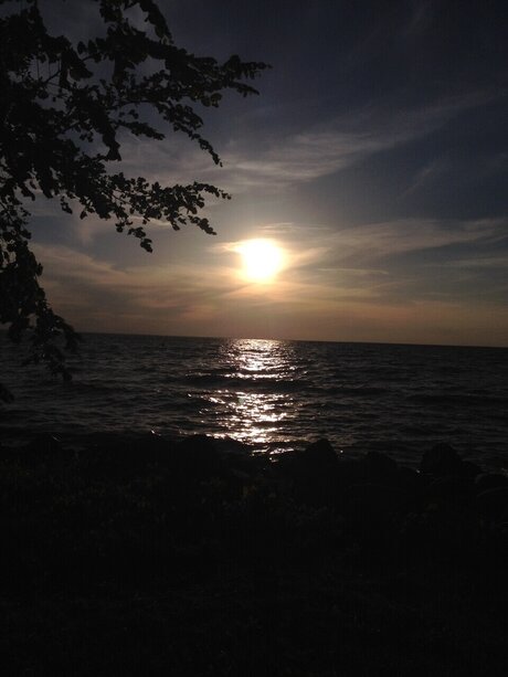 Aubri Hendricks model hot img