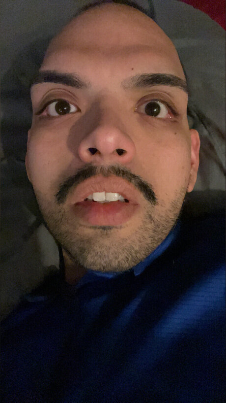 LG730 beautiful star pictures