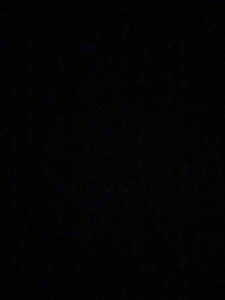 realblondie hd pornstar images