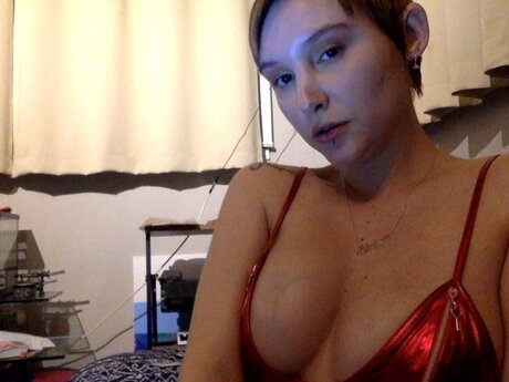 Willsea Debolorin best star galleries