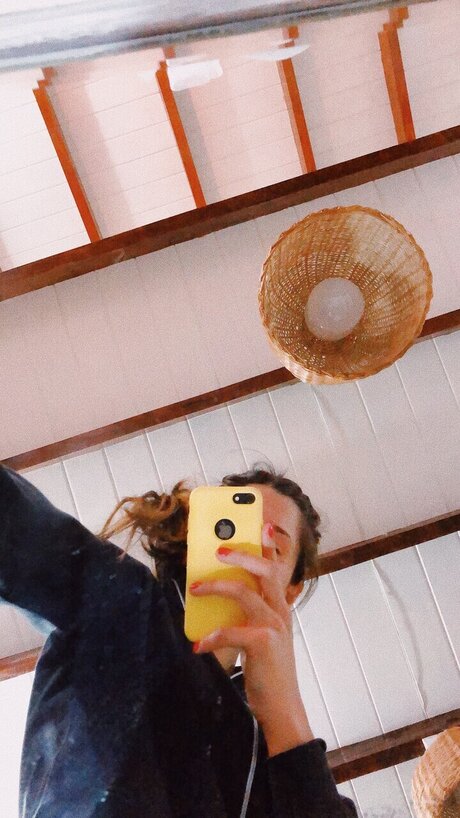 Cataleya star free pictures