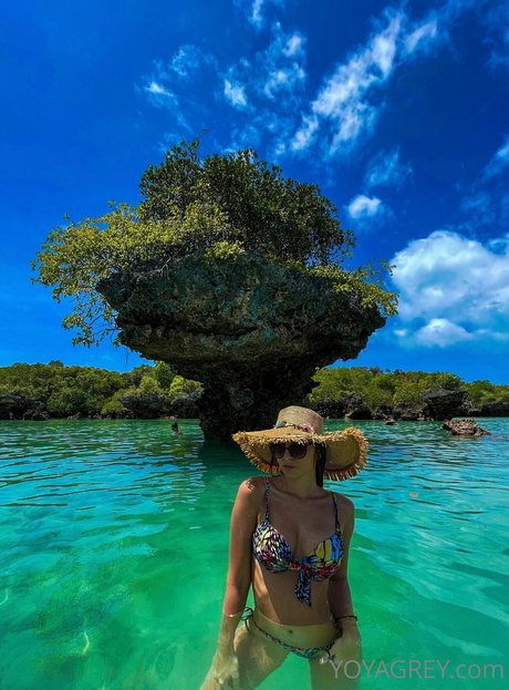 Yoya Grey star high quality galleries