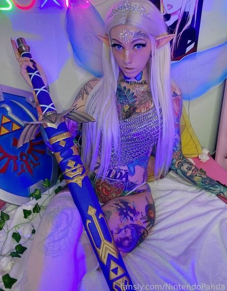 Nintendo Panda model hot archive