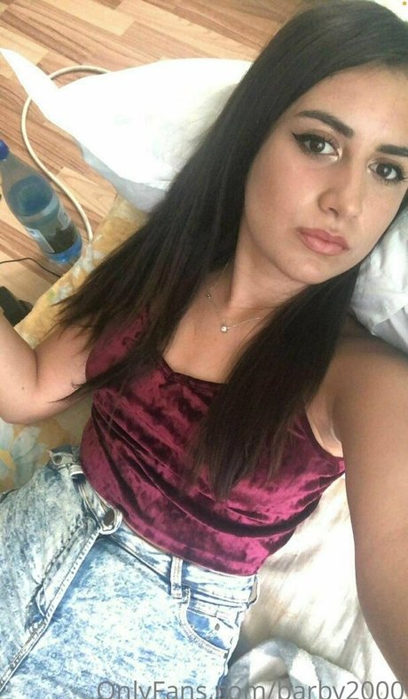 barby2000 love hot pornstar galleries