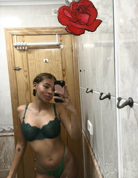 aquabelle x free star gallery