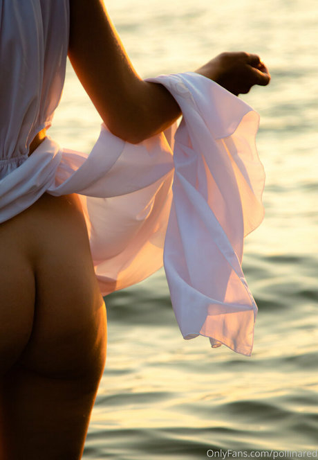 pollinared model porn pic