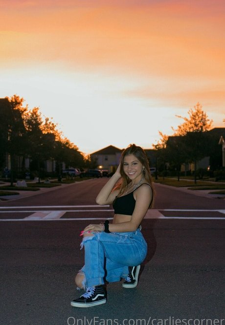 carliescorner star pornographic photo