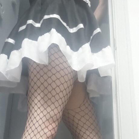 Dahlia top star photo