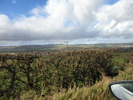 Darny Lewds pornstar free archive