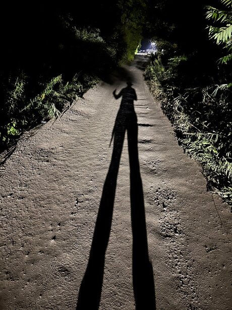 Double Dick pornstar erotic img