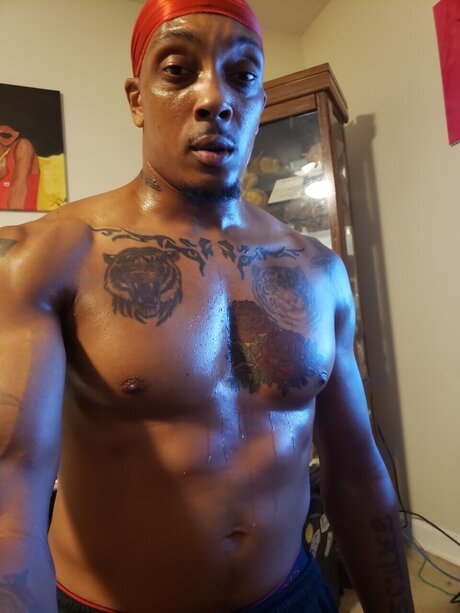 Bull star best photos