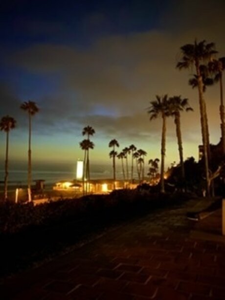 cxrxvx free model pic