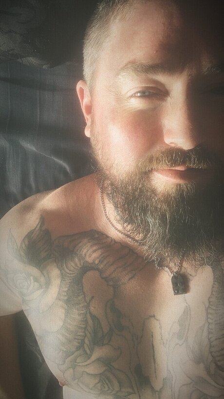 Casualmeathead pornstar galleries