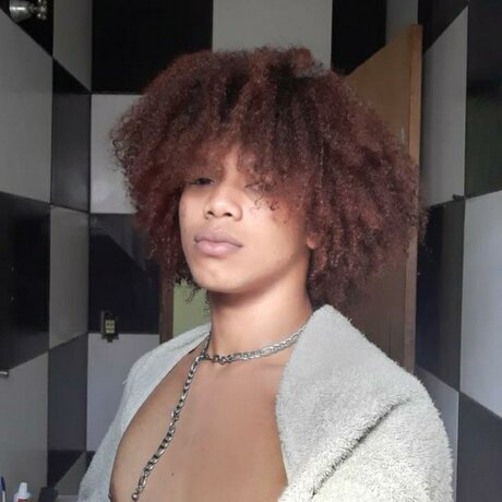 Harlley star hot archive