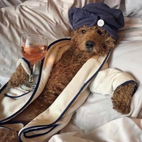 Thick Guy pornstar erotic picture