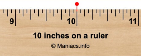 10IN PRINCE Roca perfect pornstar photo